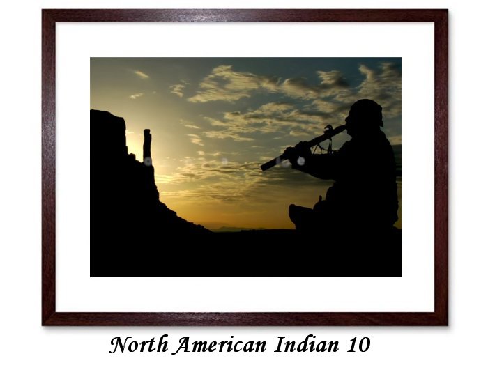 North American Indian Framed Prints